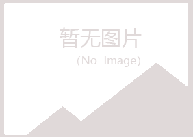 保山女孩会计有限公司